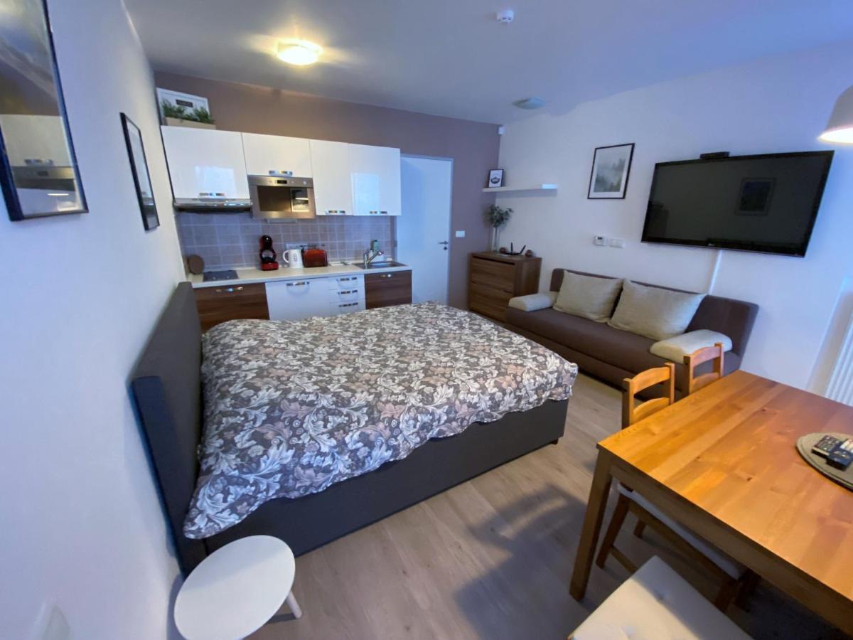 Miky Apartman Klinovec Meadow Loučná pod Klínovcem Kültér fotó